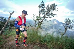 BIB: 
                            <button type="button" onclick="openModal(22372294)" class="btn btn-primary btn-sm float-right btn-popup" data-toggle="modal" data-target=".modal-high-quality">
                        <i class="fas fa-shopping-cart"></i> Add to Cart
                    </button>
                                            <button type="button" onclick="isThisMe(22372294, true)" class="btn btn-success btn-sm float-right btn-popup btn-isme hidden" data-toggle="tooltip" data-placement="bottom" title="นี่คือรูปของคุณใช่ไหม คลิกที่นี่เพื่อเอาเข้าอัลบั้ม">
                        <i class="fas fa-plus"></i> Add to album
                    </button>
                    <button type="button" onclick="isThisMe(22372294, false)" class="btn btn-warning btn-sm float-right btn-popup btn-isnotme hidden">
                        <i class="fas fa-ban"></i> Remove from album
                    </button>